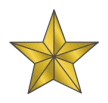 1 Gold Star.jpg