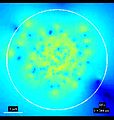 File:Electro-Acoustic-Behavior-of-the-Mitotic-Spindle-A-Semi-Classical-Coarse-Grained-Model-pone.0086501.s007.ogv