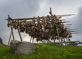 Codfish Drying Flake, Å i Lofoten 20150608 1.jpg