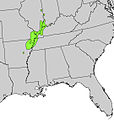 Catalpa speciosa range.jpg