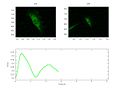 File:High-Throughput-Analysis-of-NF-B-Dynamics-in-Single-Cells-Reveals-Basal-Nuclear-Localization-of-NF-pone.0090104.s018.ogv