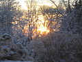 A Winter Sunset.JPG