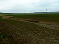 High groundwater damage on the Veszprém Plateau 02.JPG