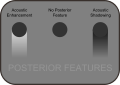 Ultrasound lesions posterior features.svg