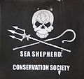 2013 Armada Rouen Sea Shepherd Conservation Society-2(editing).jpg