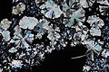 Crystals of ascorbic acid.jpg