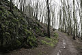 Ebersburg Harz Weg by Vincent Eisfeld.jpg