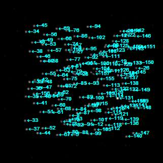 File:A-Quantitative-Comparison-of-Single-Dye-Tracking-Analysis-Tools-Using-Monte-Carlo-Simulations-pone.0064287.s003.ogv