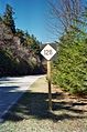 010318-149 Mount Mitchell.JPG