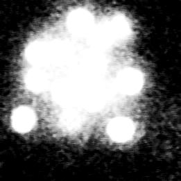 File:Automatic-Extraction-of-Nuclei-Centroids-of-Mouse-Embryonic-Cells-from-Fluorescence-Microscopy-pone.0035550.s002.ogv