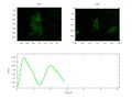 File:High-Throughput-Analysis-of-NF-B-Dynamics-in-Single-Cells-Reveals-Basal-Nuclear-Localization-of-NF-pone.0090104.s020.ogv