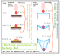 Diagram of Work of Safety-Net.png