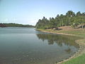 Lagoa do Parque Metropolitano de Pituaçu.jpg