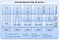 Entwicklungsphasen.jpg