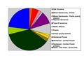 Morrison Co Pie Chart 2016 Wiki Version.pdf