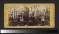 Niblo's Garden, Broadway (NYPL b11708068-G91F214 009F).tiff