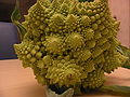 Fractal broccoli(2).JPG