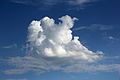 Lone cumulus cloud.JPG