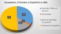1881 Occupational Structure of Females in Stapleford.png