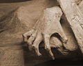 Guanajuato mummy 01.jpg