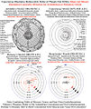 De revolutionibus-Copernicus Illustrates Heliocentric Order of Planets not Orbits.jpg