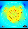 File:Electro-Acoustic-Behavior-of-the-Mitotic-Spindle-A-Semi-Classical-Coarse-Grained-Model-pone.0086501.s001.ogv