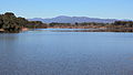 Lake Burley Griffin looking south west, Canberra ACT.JPG