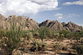 Sonora Desert 2007.jpg