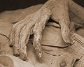 Guanajuato mummy 04.jpg