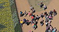 Aerial view of crowd, Floriade Canberra ACT 2.JPG