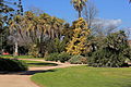 Albury botanical gardens 2.JPG