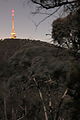 Telstra Tower, Canberra, from Aranda Nature Reserve at night.JPG