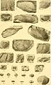 Contribution à la carte géologique de l'Indo-Chine. Paléontologie (1908) (20064465543).jpg
