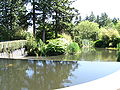 Occasions-Pond in Surrey, BC.jpg