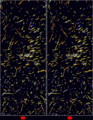 Astro 4D hyades cr 4d.png