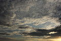 Late afternoon high-altitude clouds, Albury NSW.JPG