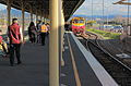 Train arrival at Albury railway station.JPG