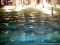 Fountain outside Sheraton Dammam (9288891307).jpg