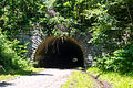 Lakeview Drive Tunnel (Front).jpg