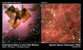 Embryonic Stars in the Trifid Nebula.jpg