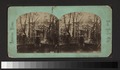 Niblo's Garden, Broadway (NYPL b11708068-G91F214 020F).tiff
