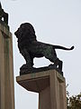 León del Puente de Piedra 2.JPG