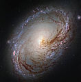 M96 BY HUBBLE.jpg