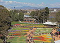 Aerial view of displays, Floriade Canberra ACT 3.JPG