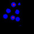 File:Automatic-Extraction-of-Nuclei-Centroids-of-Mouse-Embryonic-Cells-from-Fluorescence-Microscopy-pone.0035550.s007.ogv