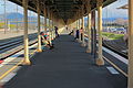 Albury railway station platform.JPG