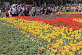 Floriade Canberra ACT.JPG