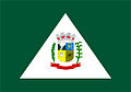 Bandeira Tijucas do Sul.jpg