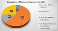 1881 Occupational Structure of Males in Stapleford.png