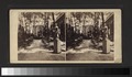 Niblo's Garden and Theatre (NYPL b11708068-G91F214 002F).tiff